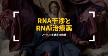 核酸医薬の解説：RNA干渉とRNAi治療薬│チクチクのお薬手帳