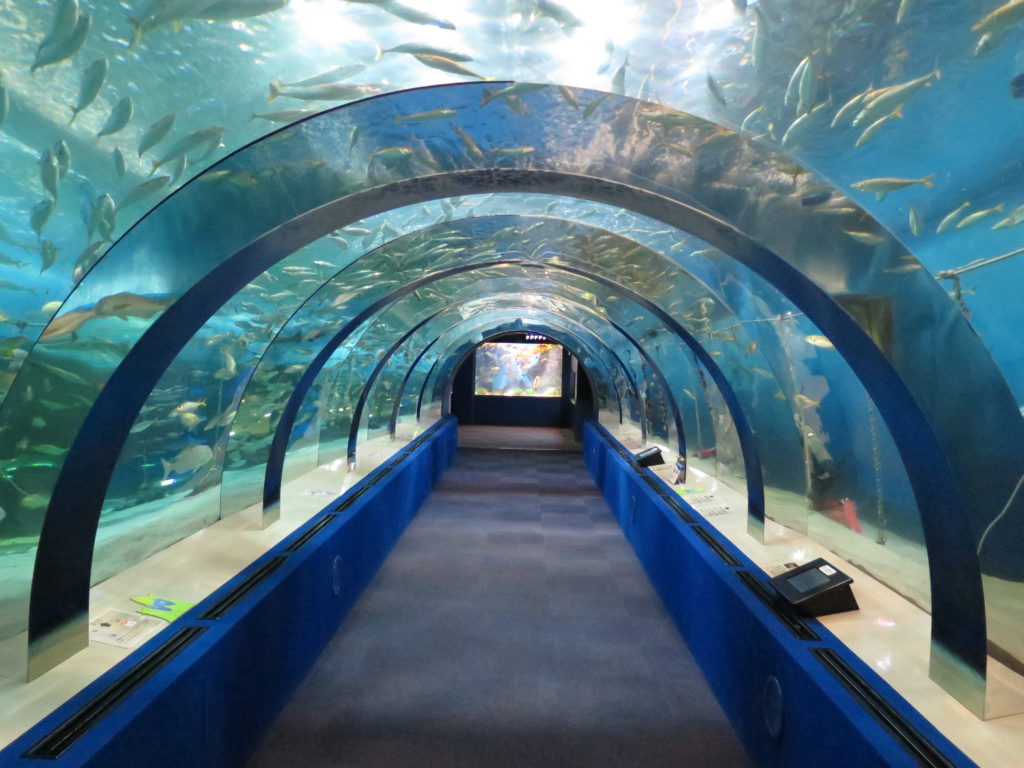 水中トンネル