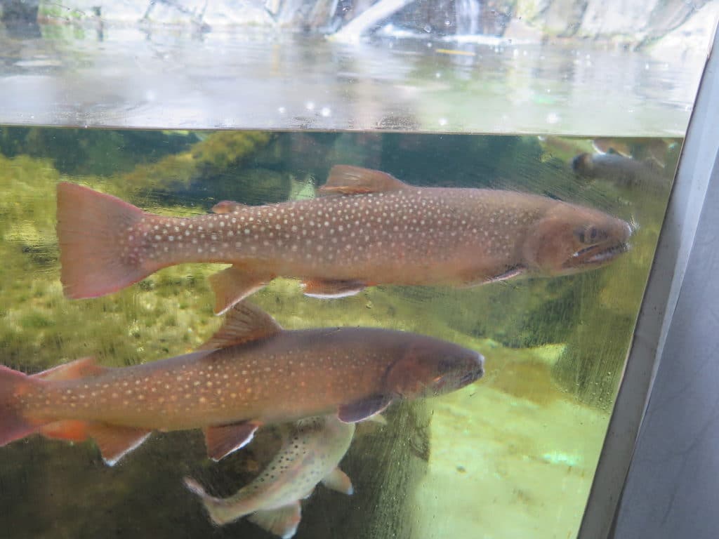 仙台うみの杜水族館