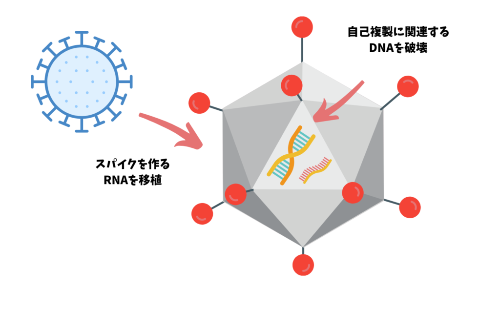 AZD1222の作り方