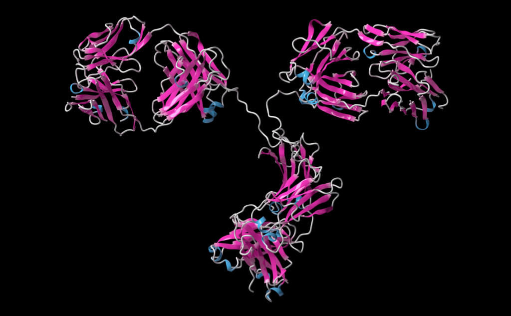 抗TROP-２-ADC