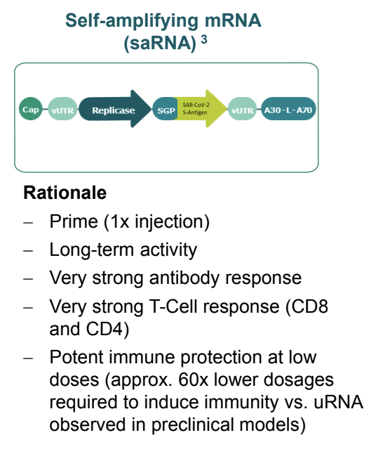 自己増幅mRNAワクチン
