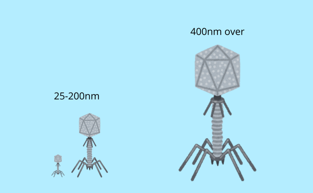 巨大ファージと通常ファージの比較画像