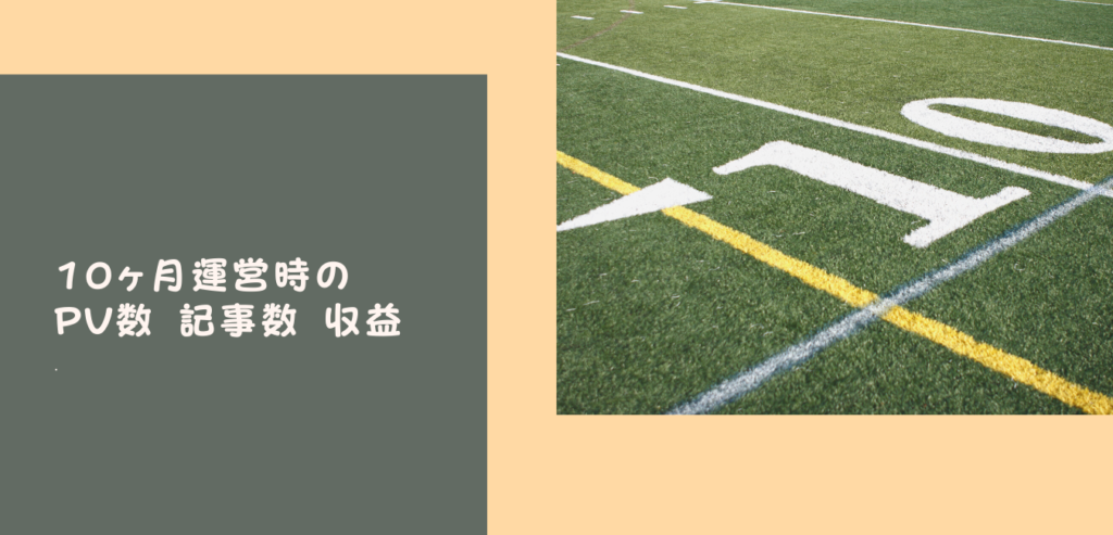 10ヶ月運営時のPV数と記事数、収益は？