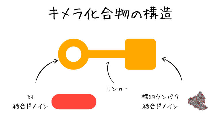 キメラ化合物の構造